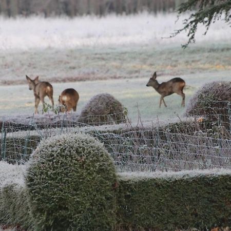 Nogent-sur-Vernisson Chateau De Praslins B&B 외부 사진