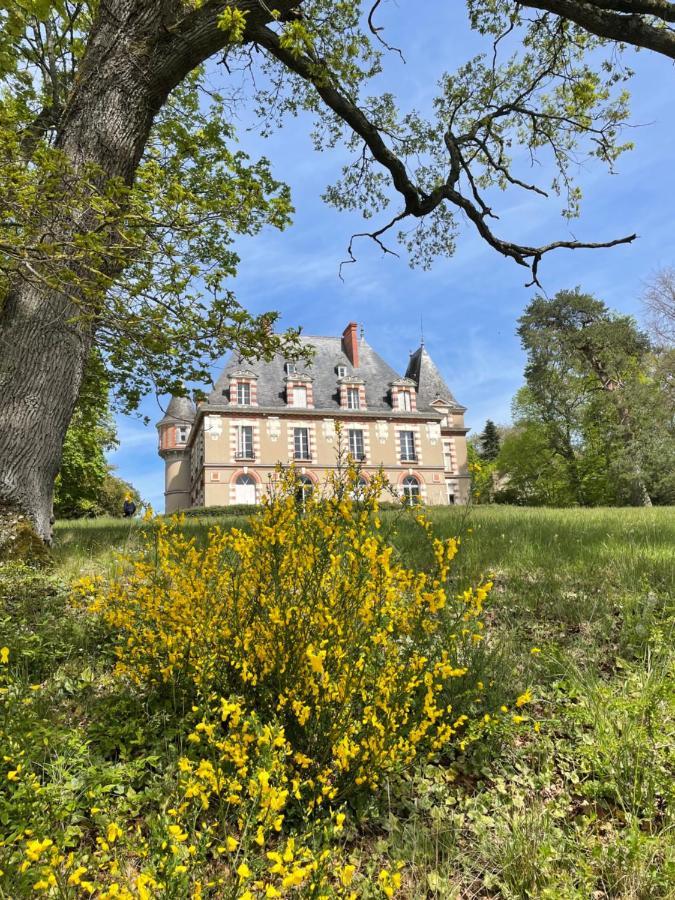 Nogent-sur-Vernisson Chateau De Praslins B&B 외부 사진