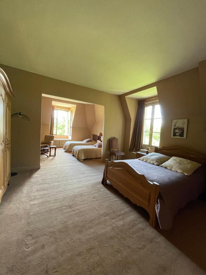 Nogent-sur-Vernisson Chateau De Praslins B&B 외부 사진